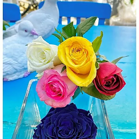 Sade Hotel Bodrum